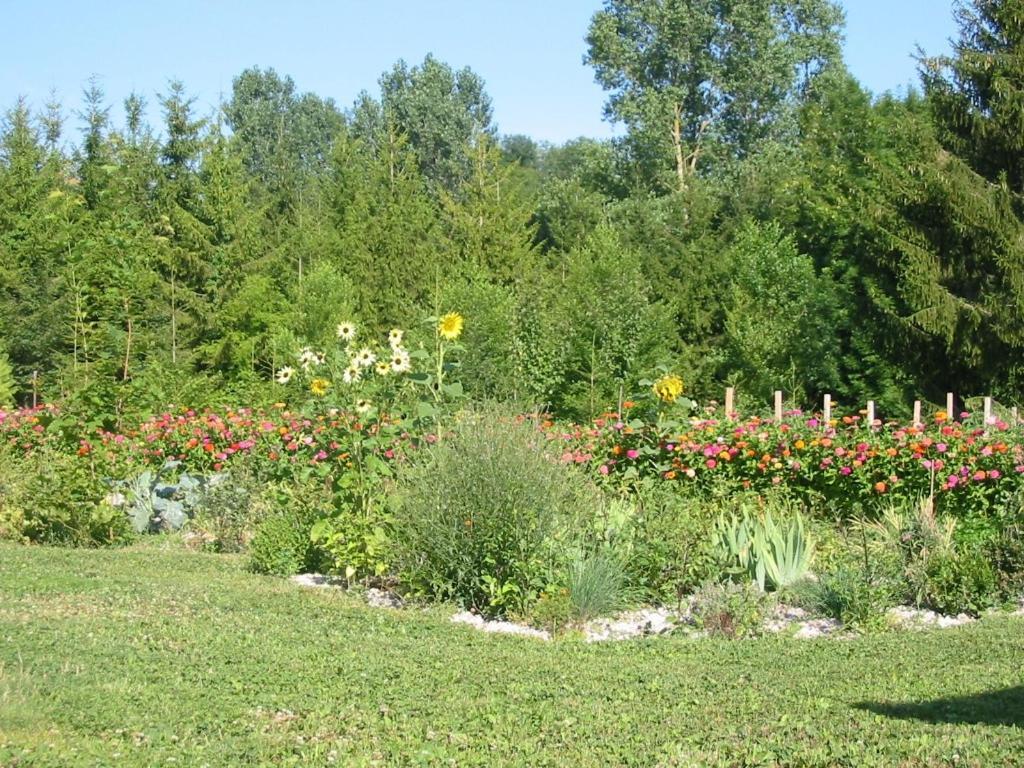Bed & Breakfast Au Pre Du Moulin