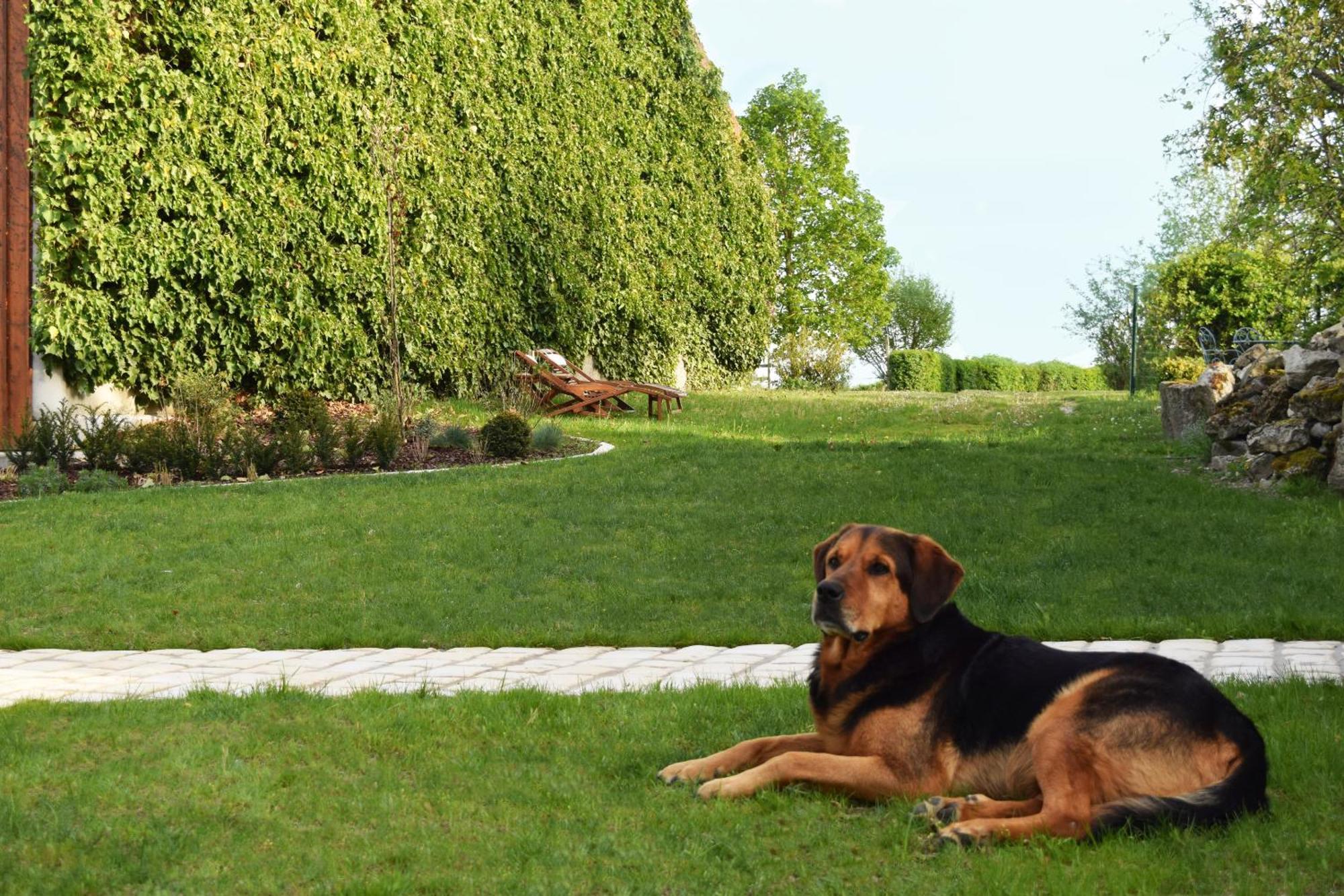 Bed & Breakfast Au Pre Du Moulin 3*